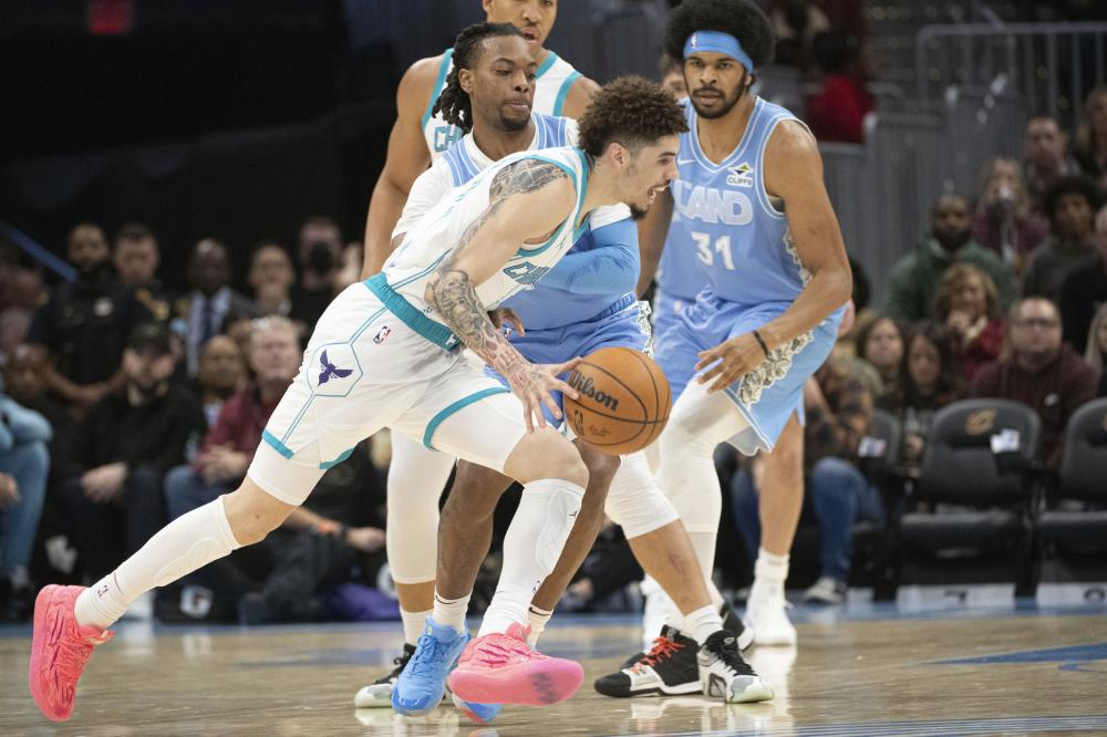 专业团队的 专业团队的